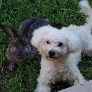 Meet your Posher, Diana